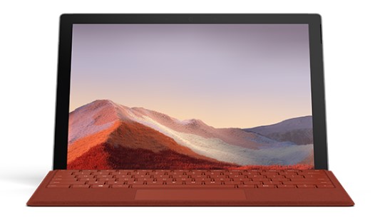 罗山清洁和维护 Surface